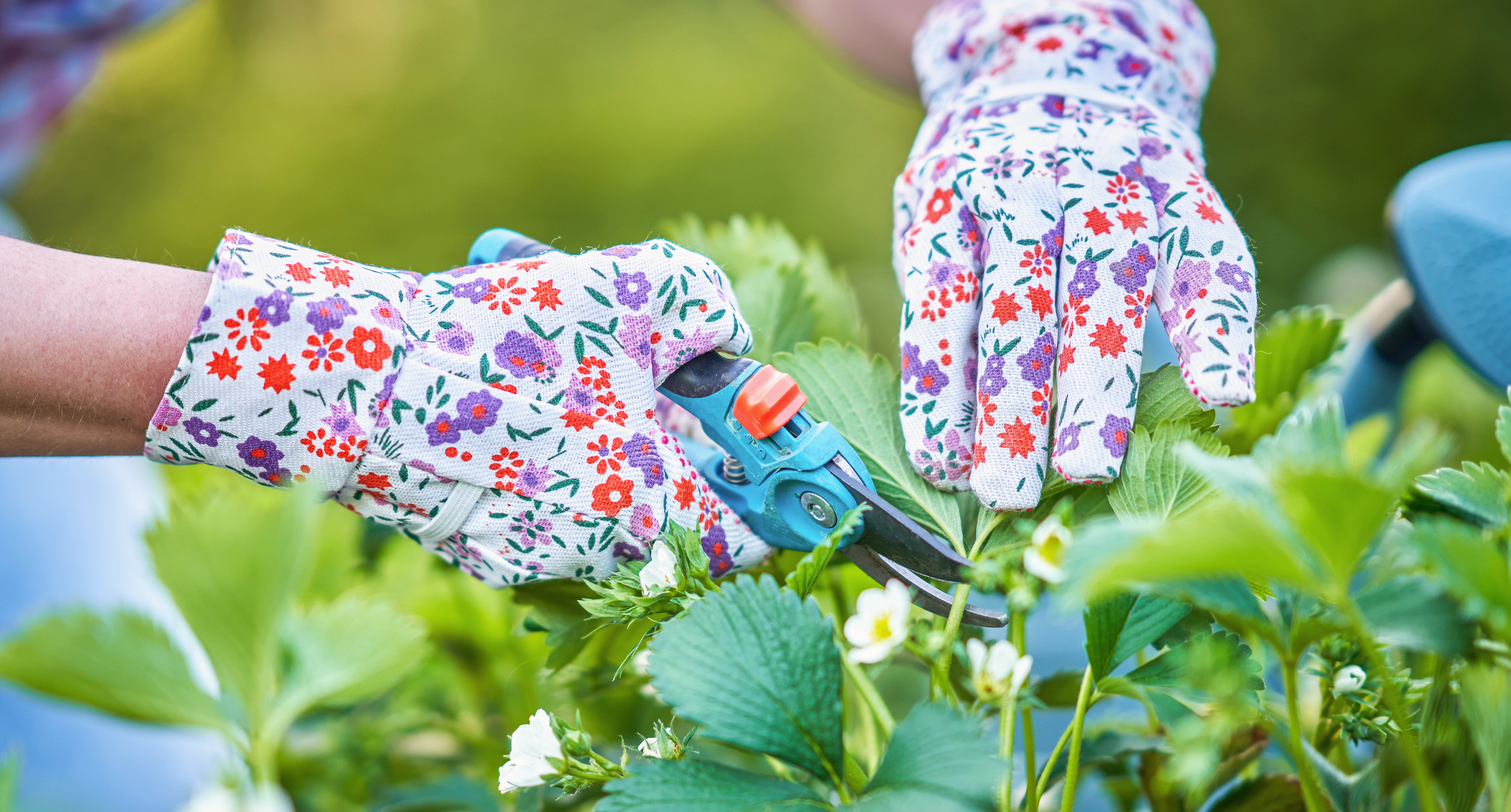 Gardening Gloves