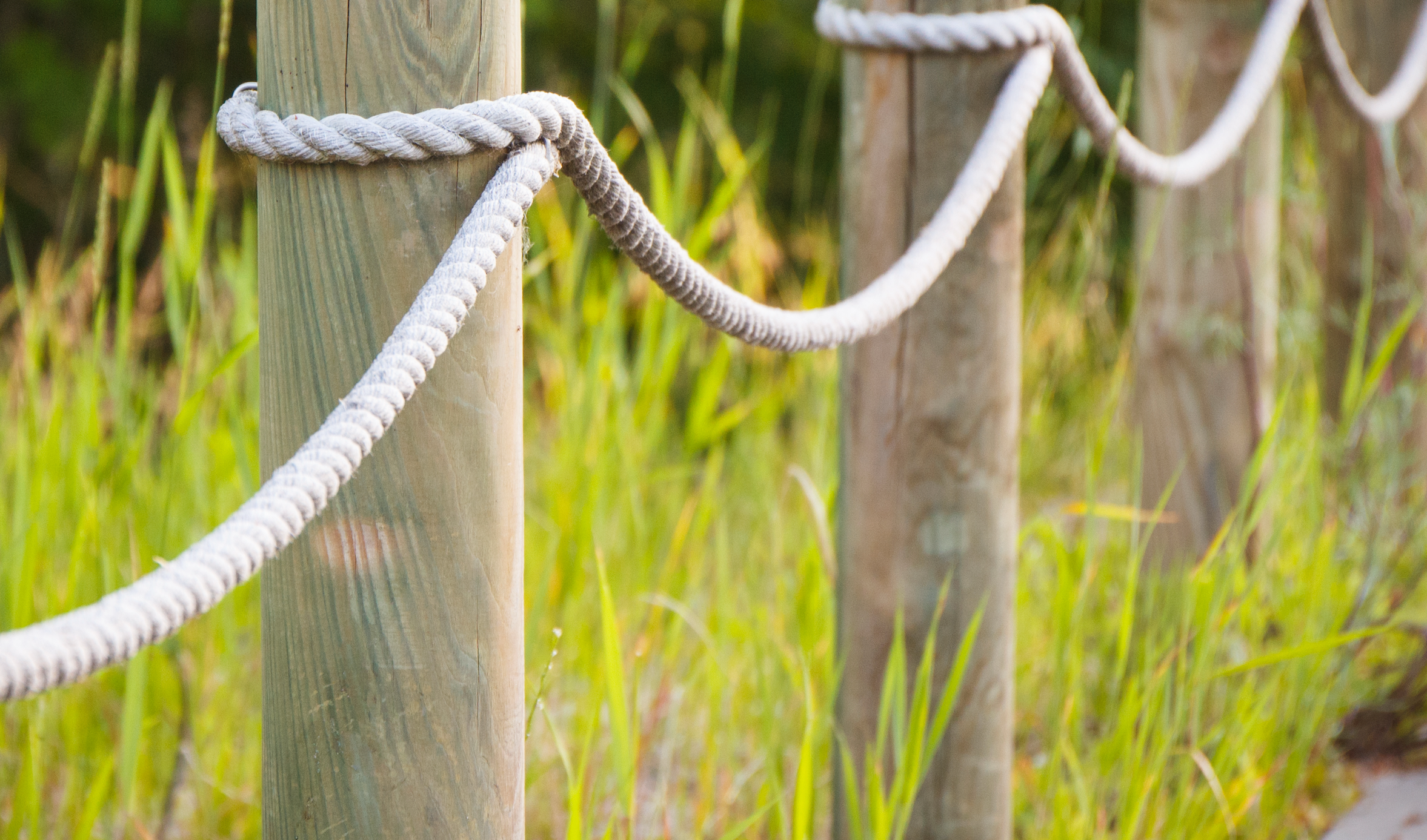 Large Hooks & Fence Post Mounts
