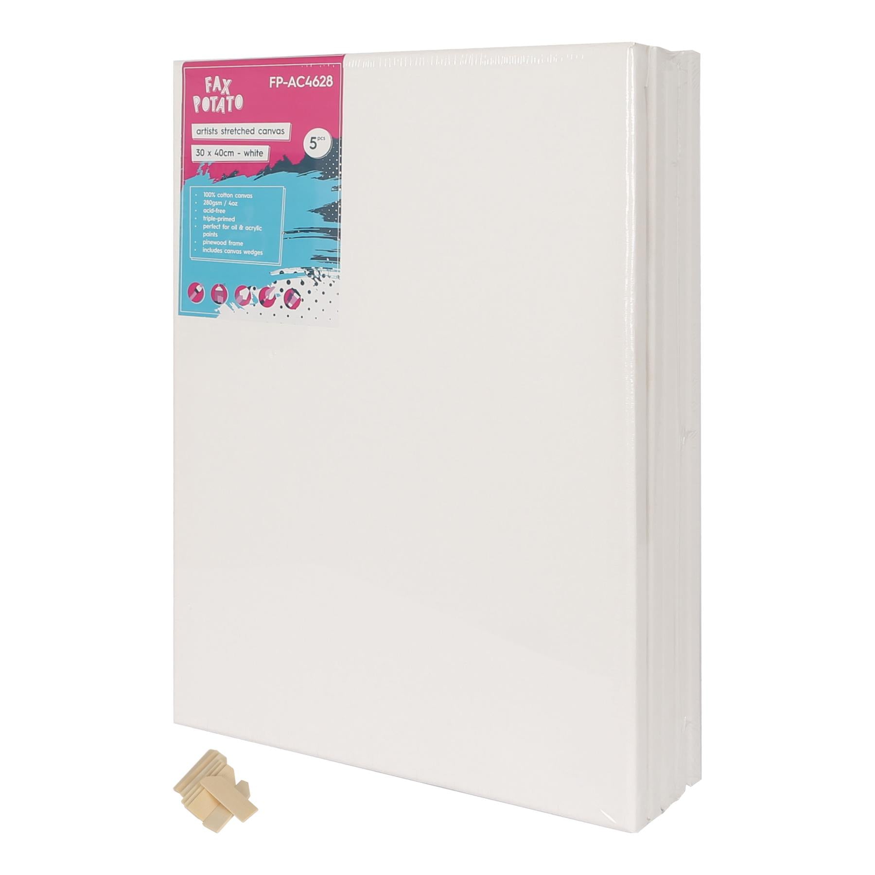 Stretched Canvas with Wooden Wedges - Pack of 5