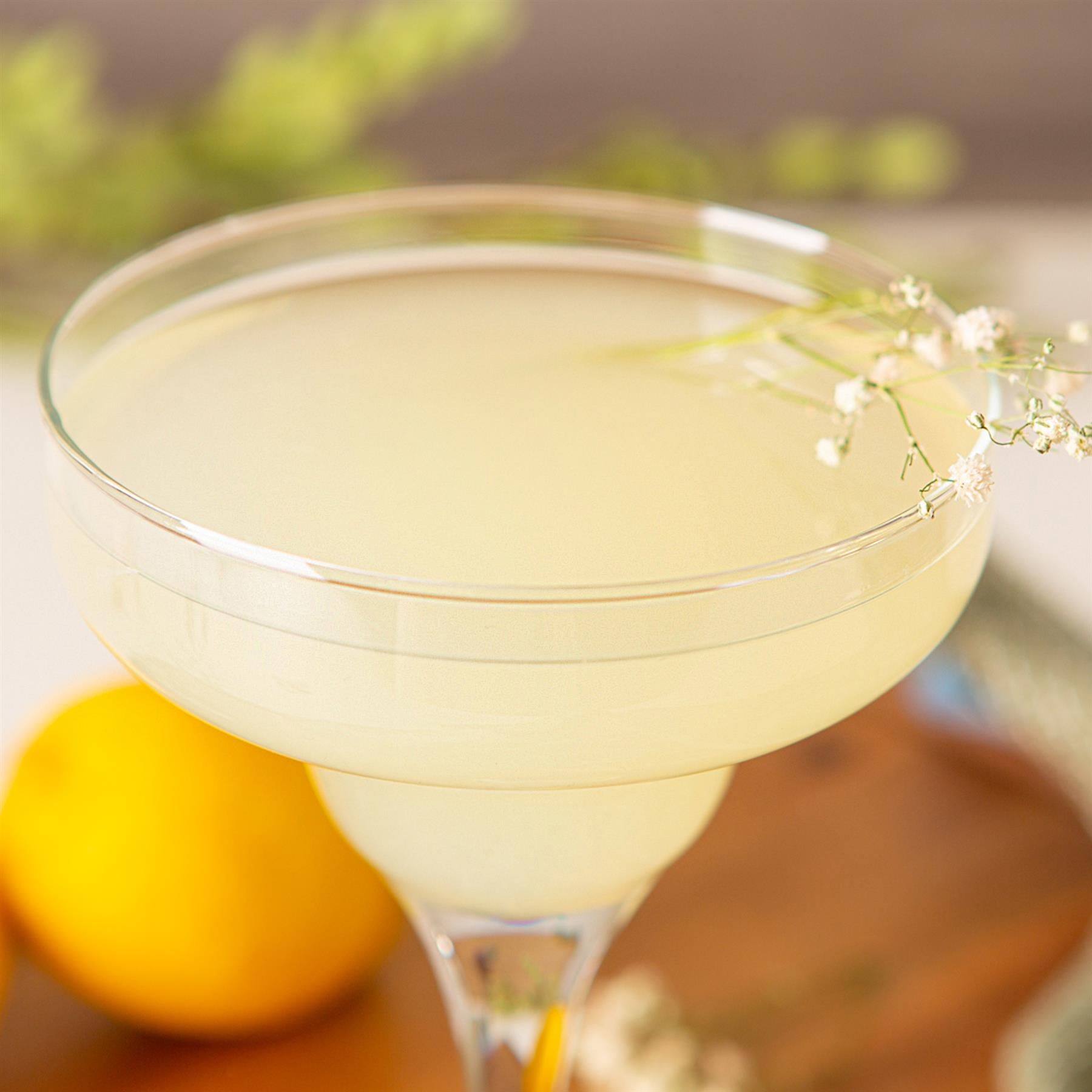 295ml Misket Margarita Glass