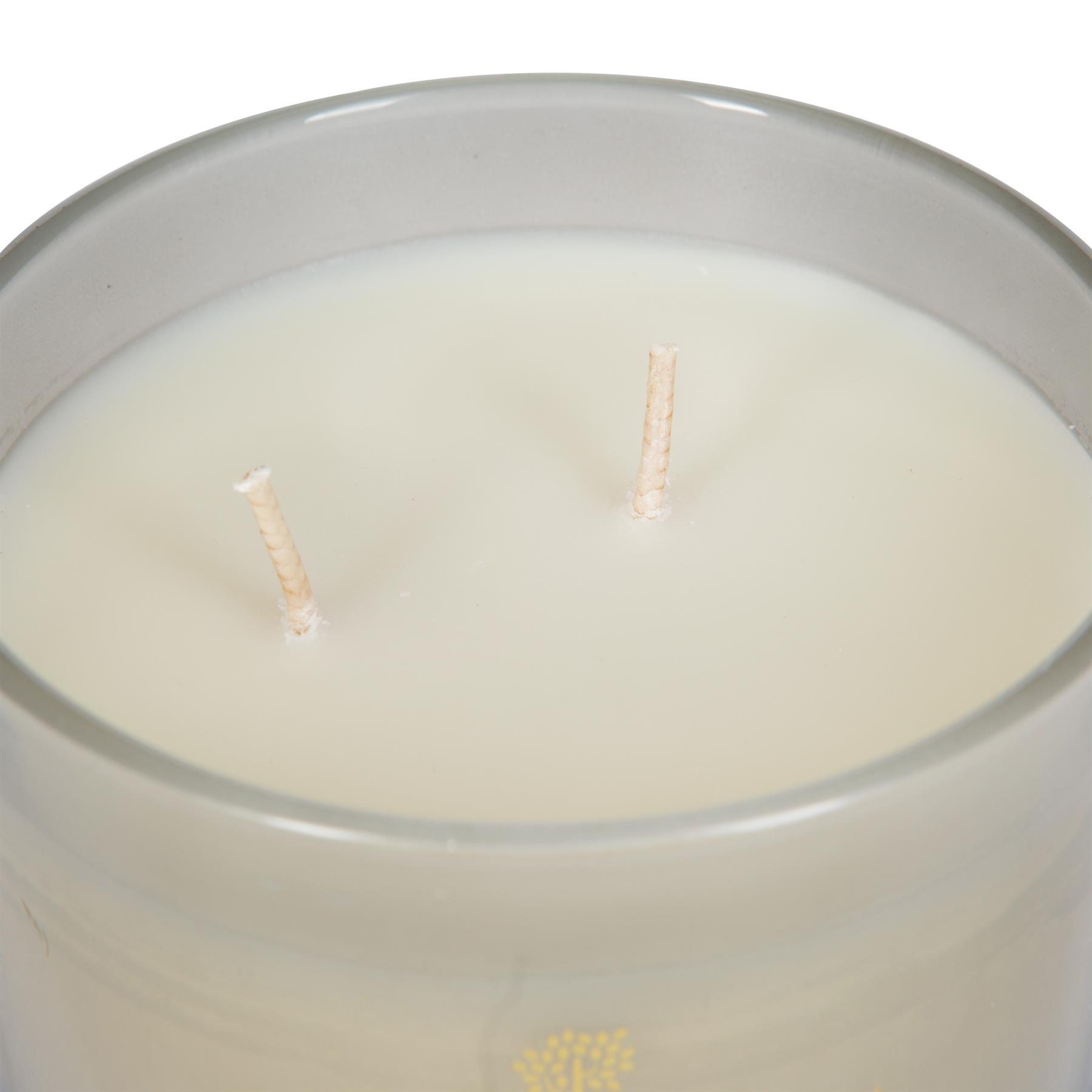 350g Double Wick Green Pomelo & Passion Fruit Soy Wax Scented Candle - by Nicola Spring