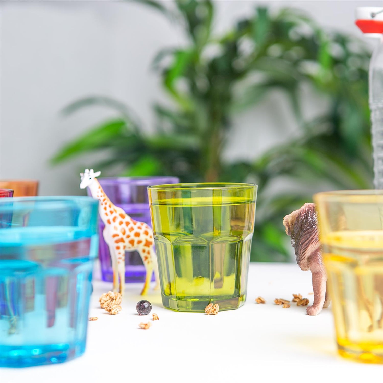 Coloured Water Glass - 305ml - 6 Colours Available