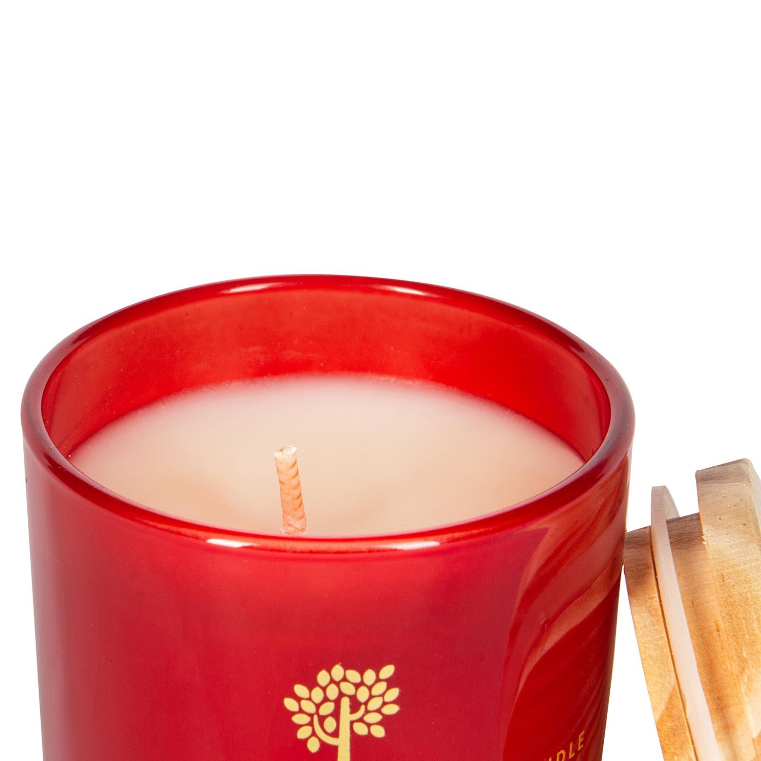 130g Wild Fig & Cassis Soy Wax Scented Candle - by Nicola Spring