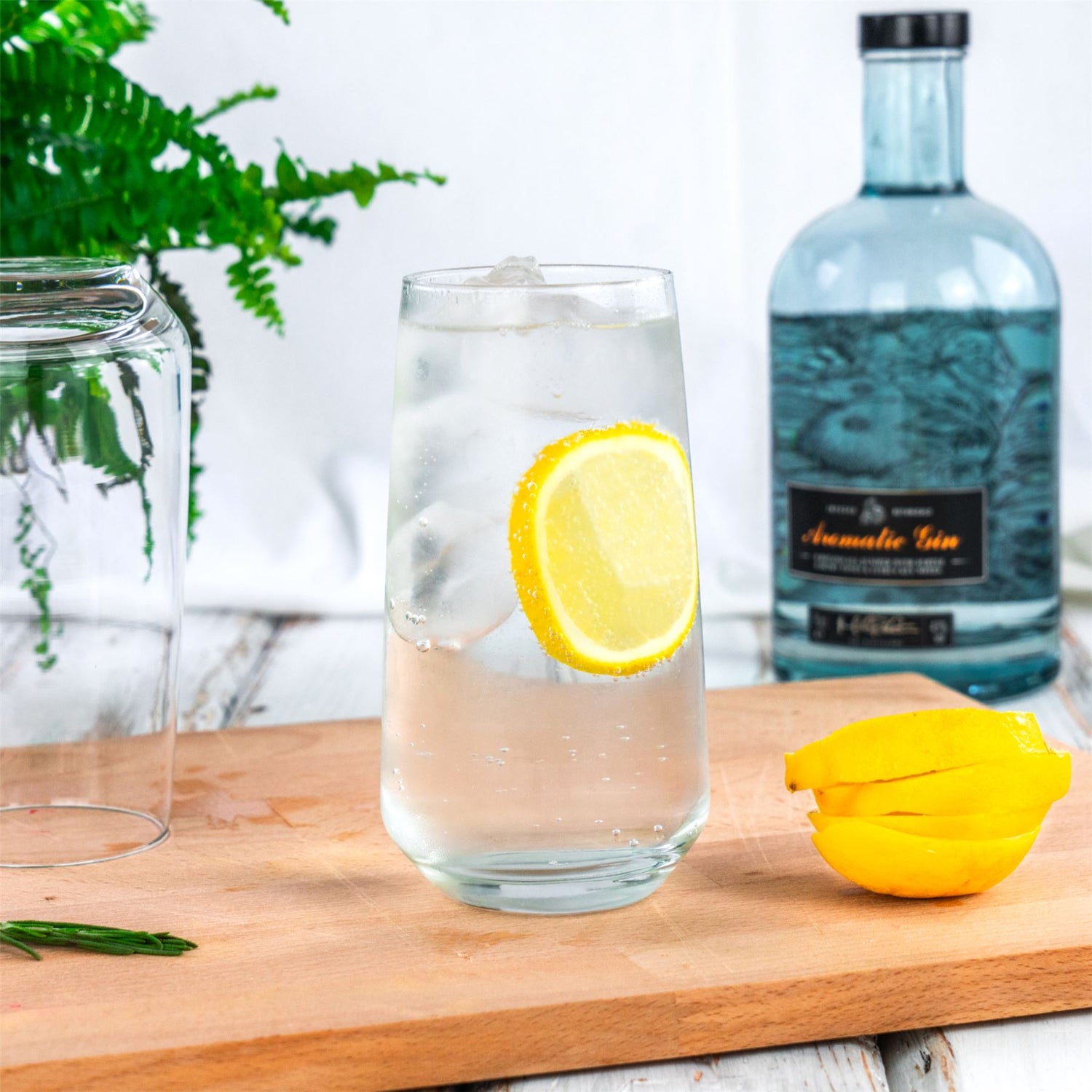 Argon Tableware Tallo Hiball Glass - 480ml