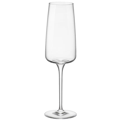 240ml Nexo Glass Champagne Flute