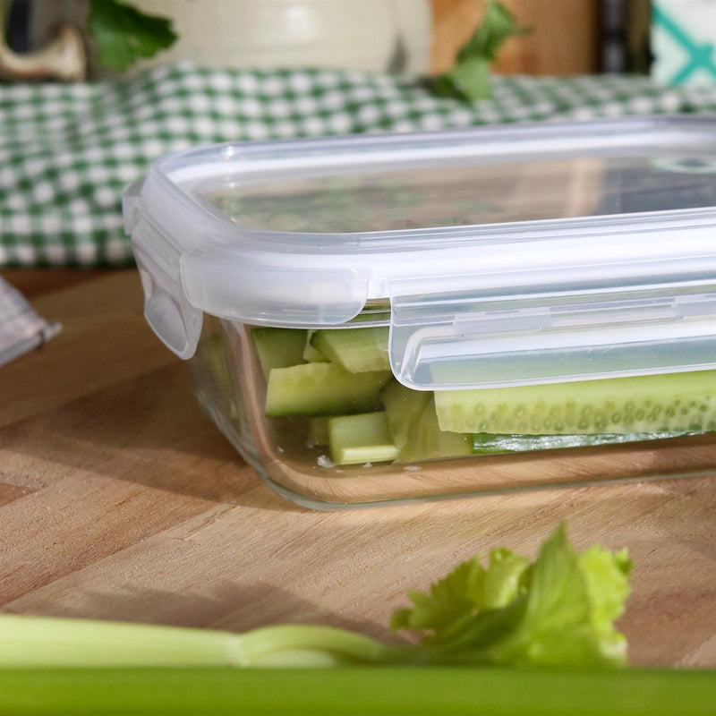 Glass Food Storage Container with Lid