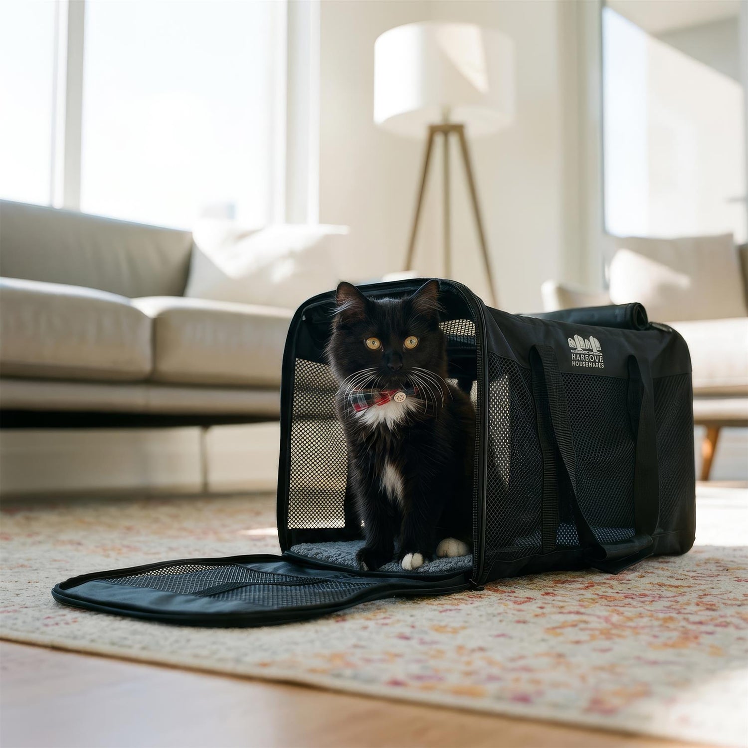 Foldable Cat Carrier - Small - Black