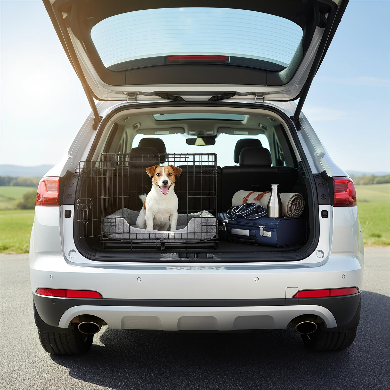 2 Door Metal Dog Crate with Removable Tray - Medium