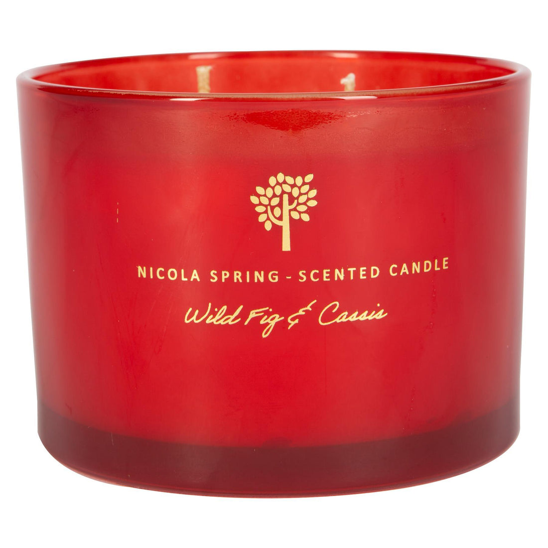 350g Double Wick Wild Fig &amp; Cassis Soy Wax Scented Candle - by Nicola Spring