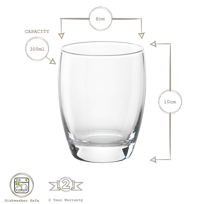 Bormioli Rocco Fiore Water Glass - 300ml