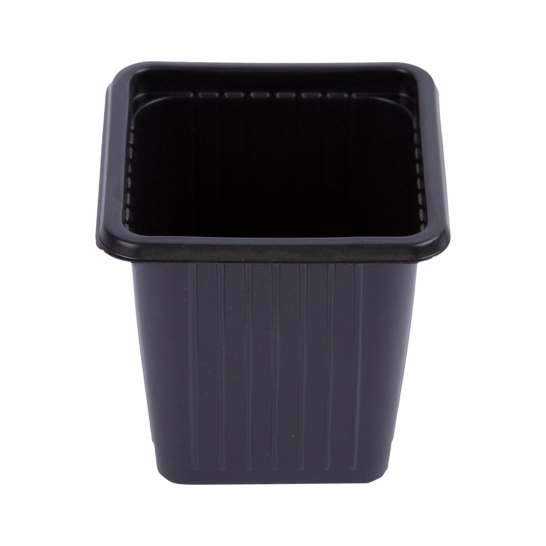 Seed Pots - Pack of 15