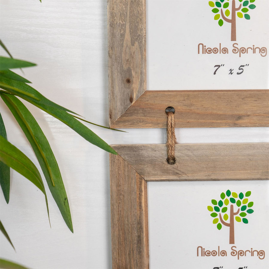 picture frames