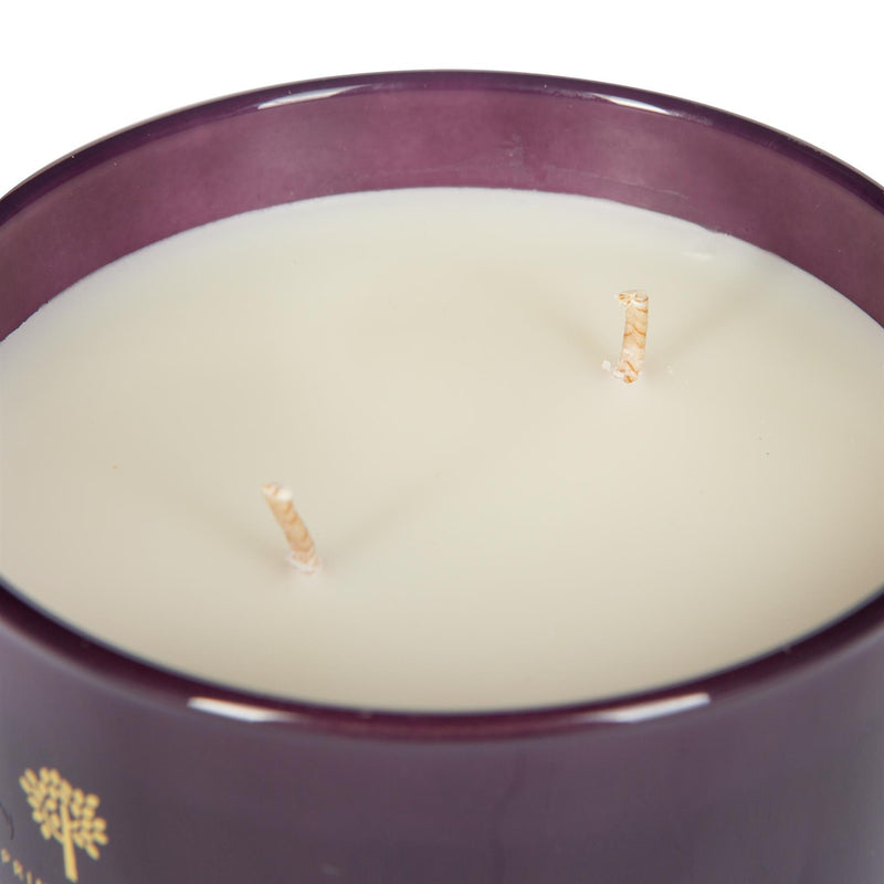 350g Double Wick Cinnamon & Orange Soy Wax Scented Candle - by Nicola Spring