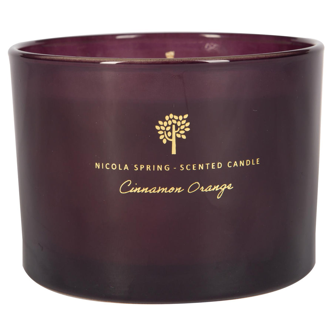 350g Double Wick Cinnamon &amp; Orange Soy Wax Scented Candle - by Nicola Spring