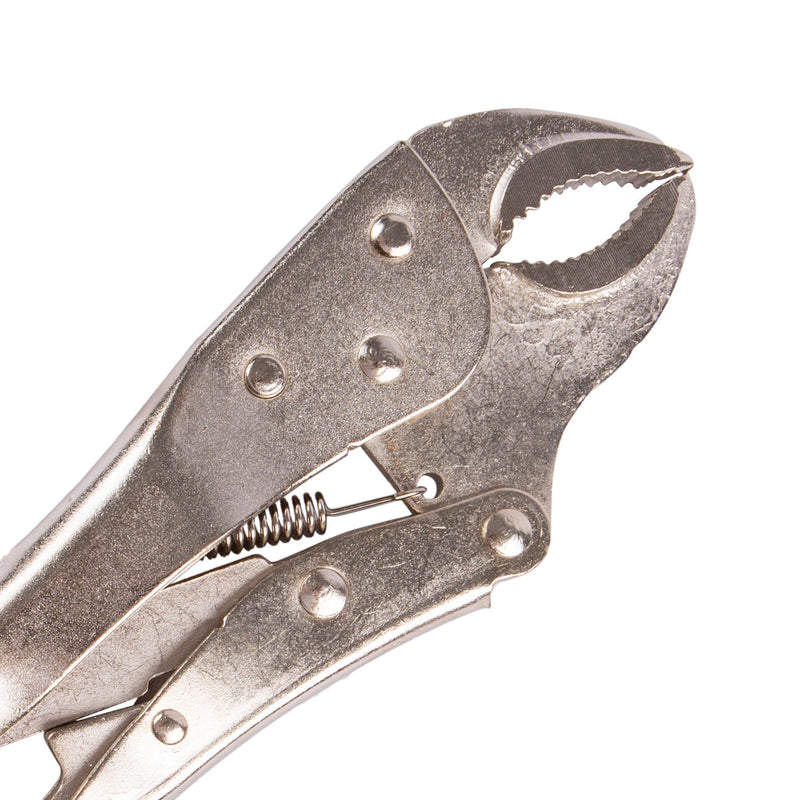 Silver 25cm Carbon Steel Locking Pliers - By Blackspur