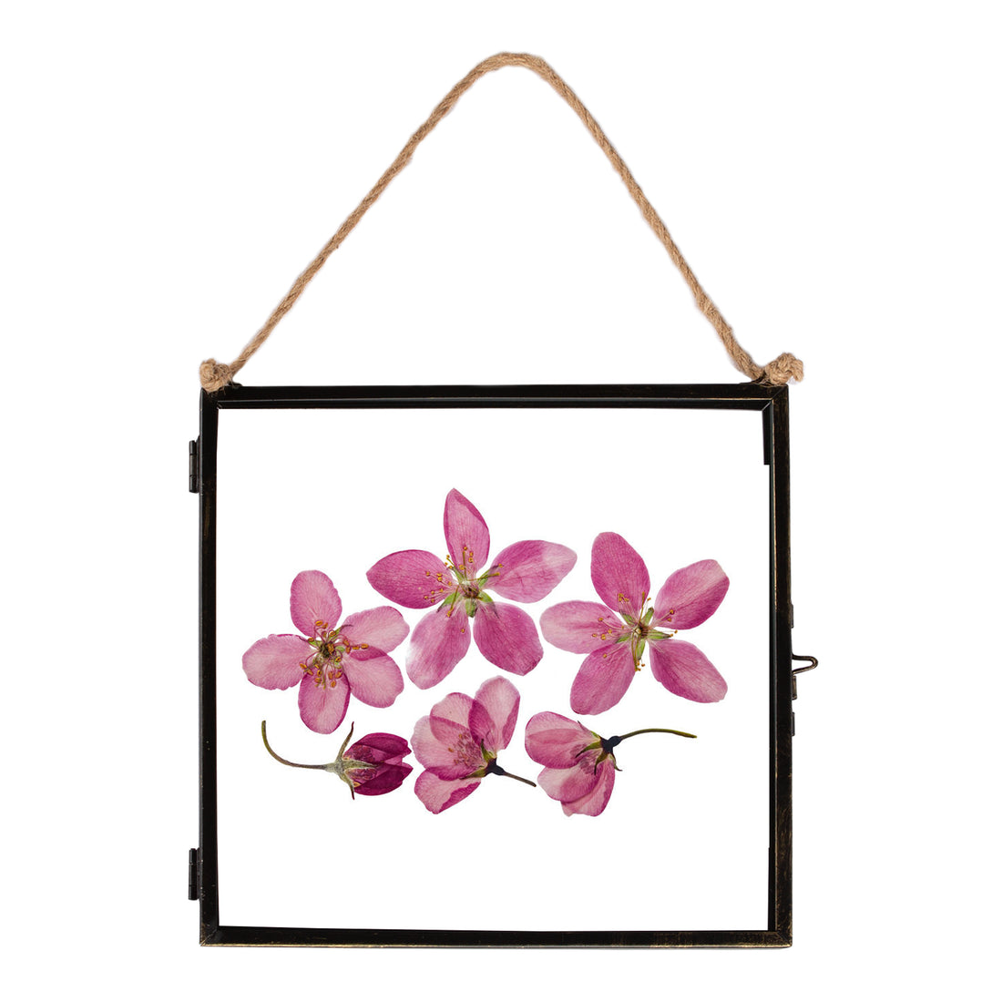 8" x 8" Black Hanging Metal Photo Frame - by Nicola Spring