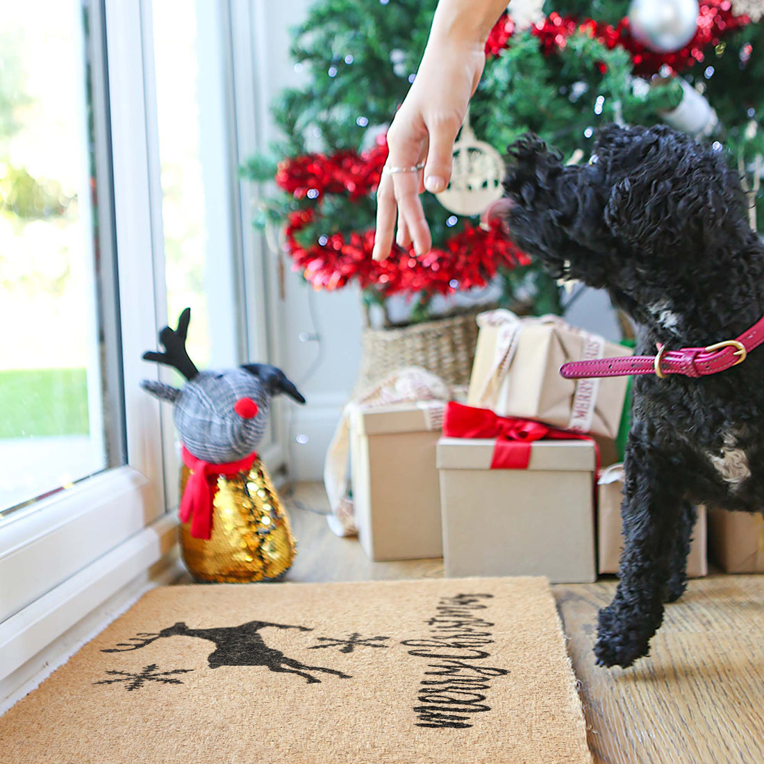 Nicola Spring Christmas Door Mat - 60 x 40cm - Reindeer