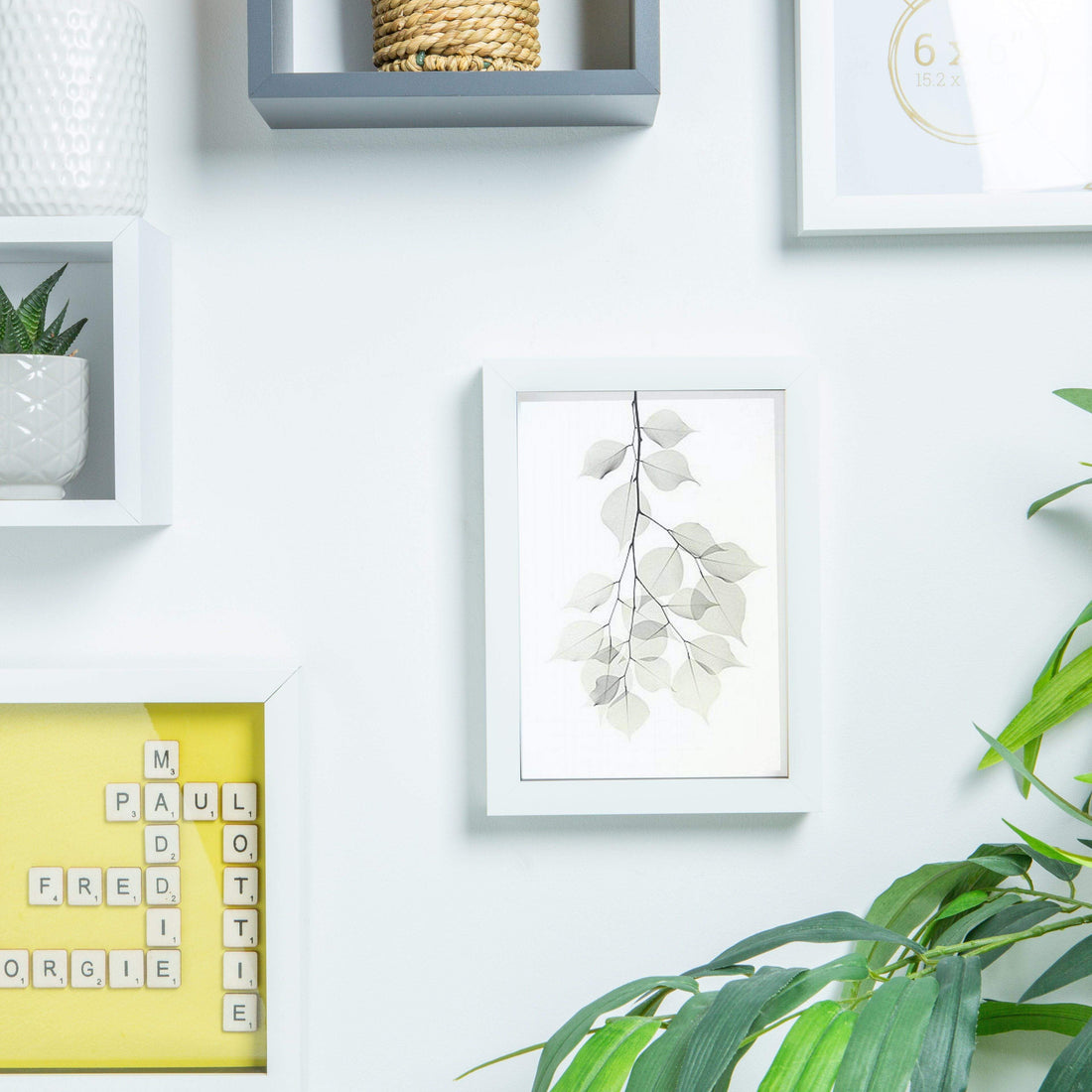 6 x 8 single aperture photo display frame