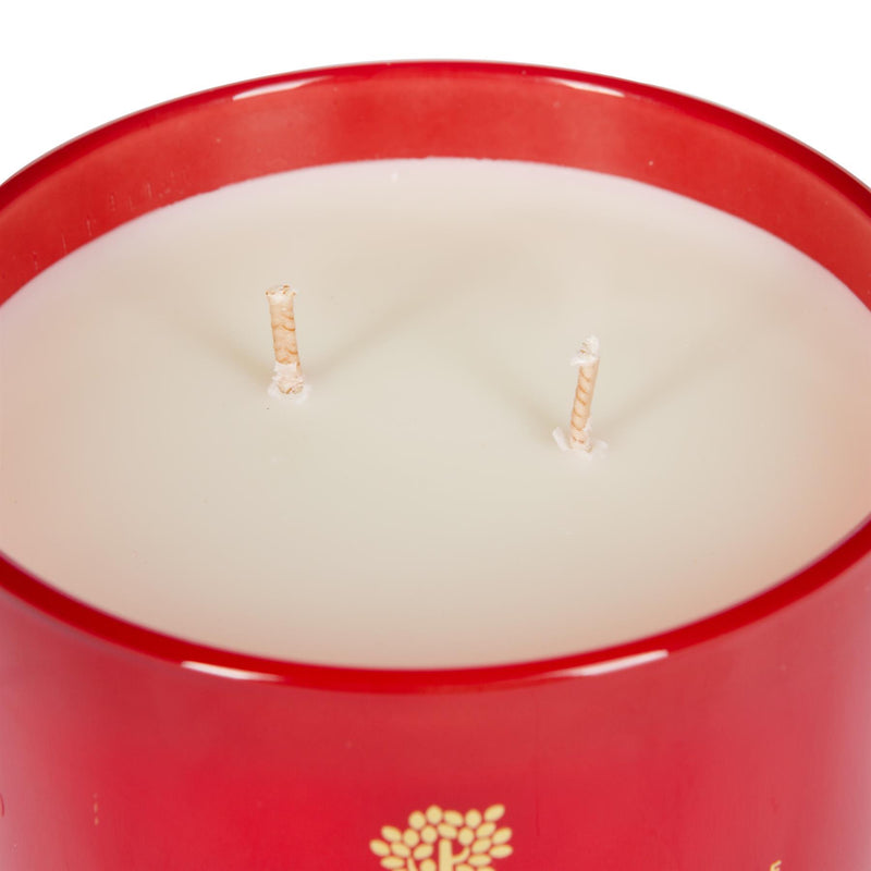 350g Double Wick Wild Fig & Cassis Soy Wax Scented Candle - by Nicola Spring