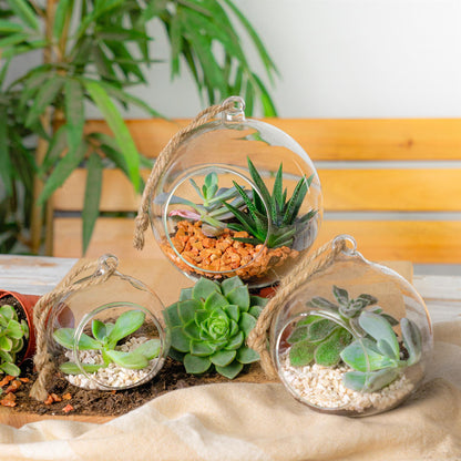 Nicola Spring Indoor Plant Terrarium With Vintage Hanging Rope - 10cm