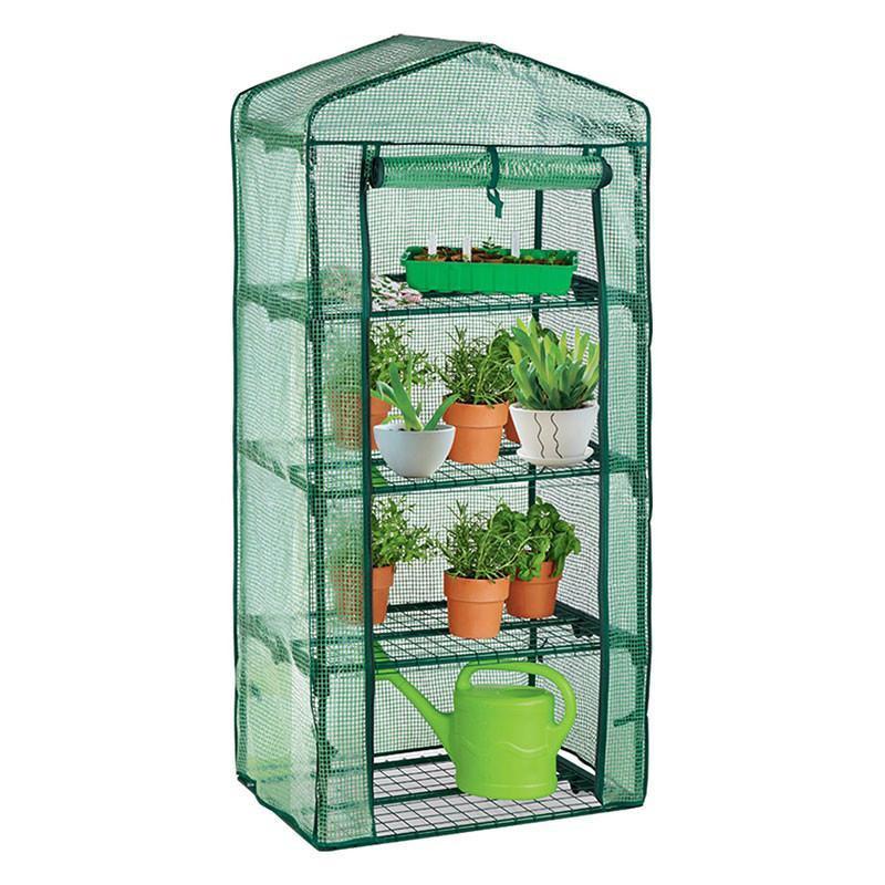 Plastic 4-Tier Mini Greenhouse - 3ft x 6ft - By Harbour Housewares